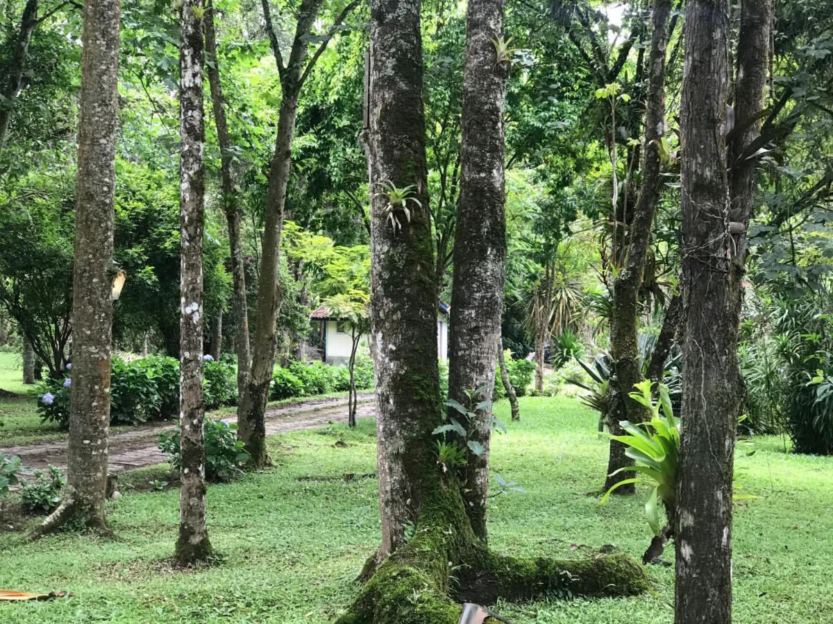 Hôtel Terra Verde Maua à Visconde de Mauá Extérieur photo